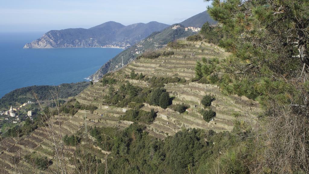 Tra Er Boscu Er Maa Villa Volastra Luaran gambar