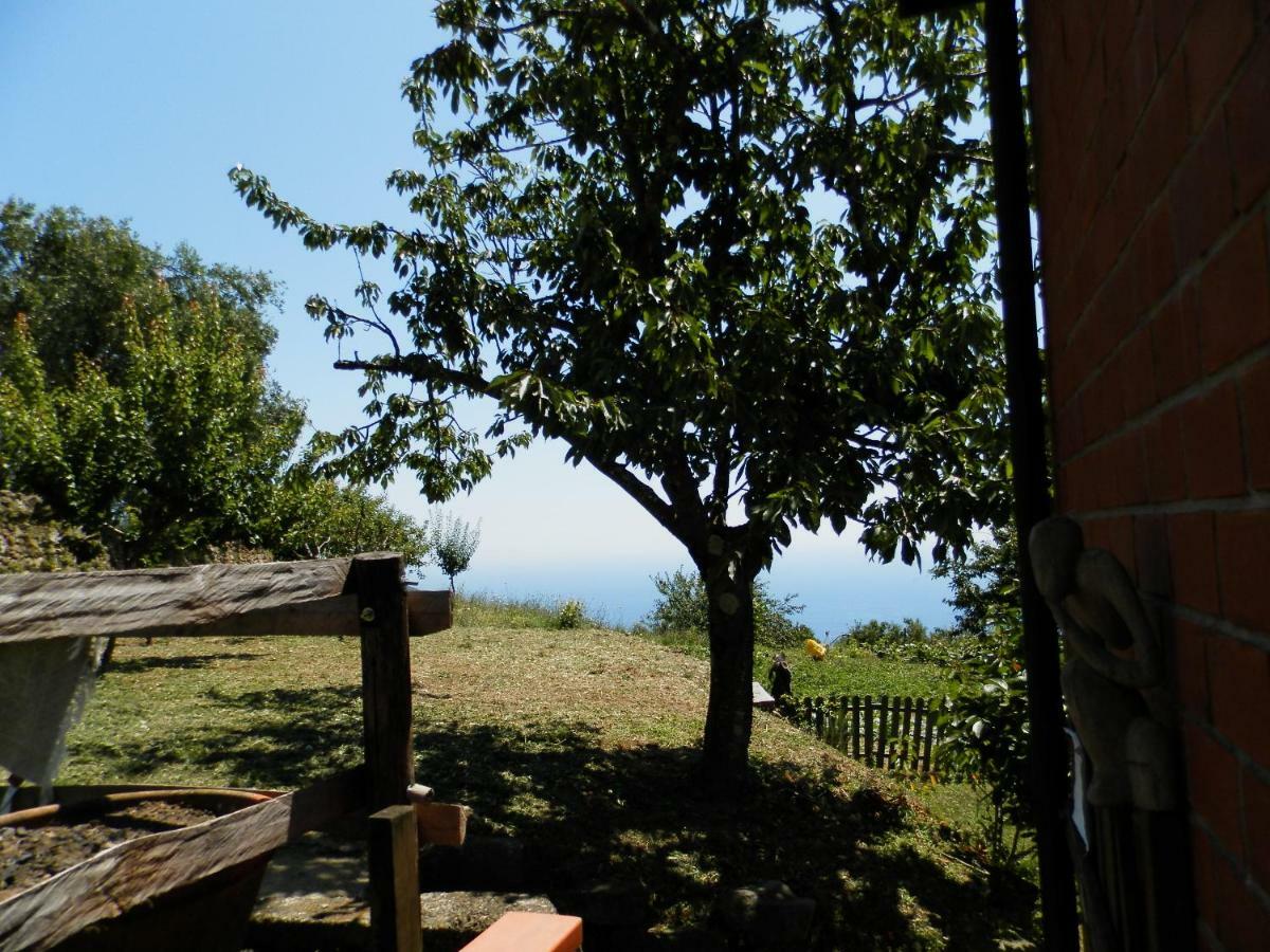 Tra Er Boscu Er Maa Villa Volastra Luaran gambar